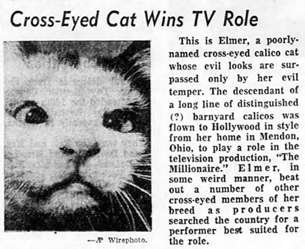newspaper article about discovery of Elmer the Cross-Eyed Cat