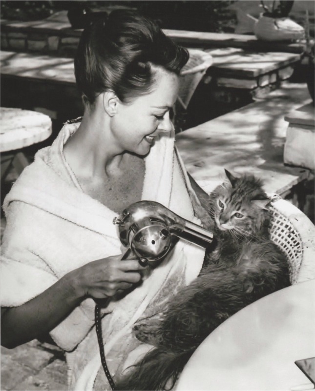 June Lockhart and her swimming cat George