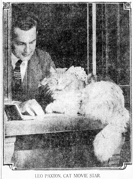Leo Paxton the cat actor with a bank account