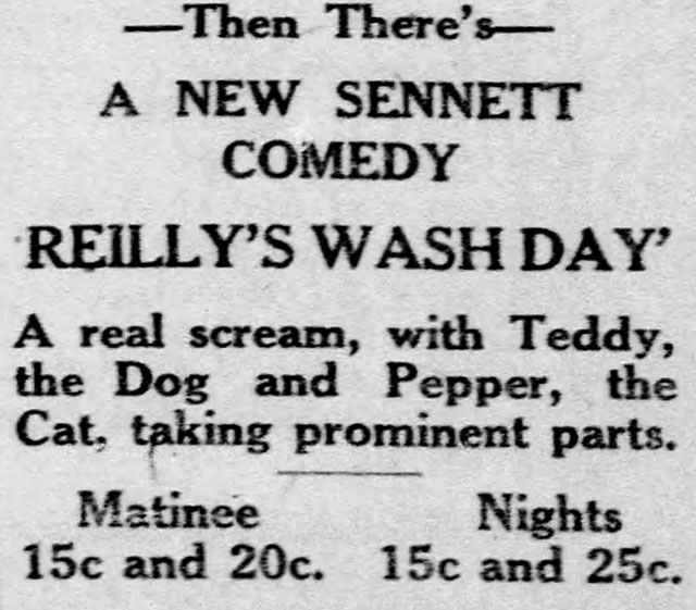 newspaper ad for Reilly's Wash Day mentioning Pepper the cat