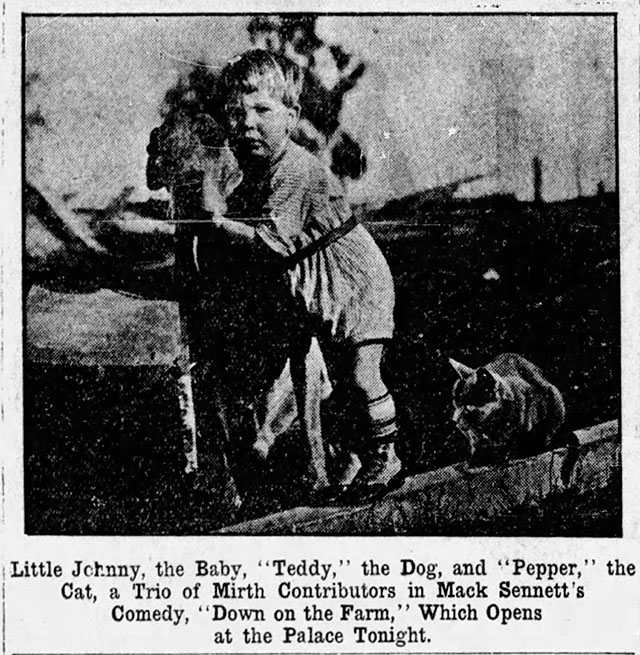 newspaper photo of Baby John Henry Jr., Teddy the dog and Pepper the cat for Down on the Farm