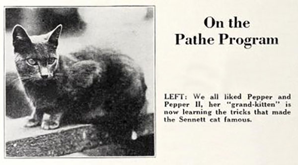 Pepper II in newspaper article