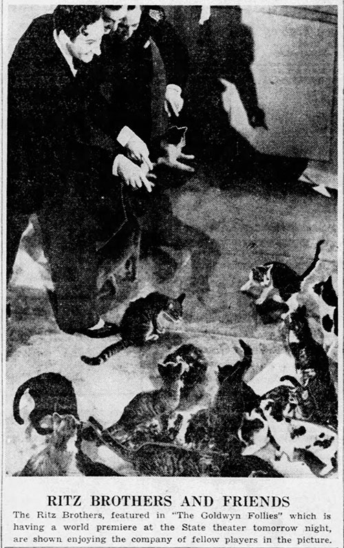 Newspaper article photo of Ritz Brothers with cats on set of The Goldwyn Follies