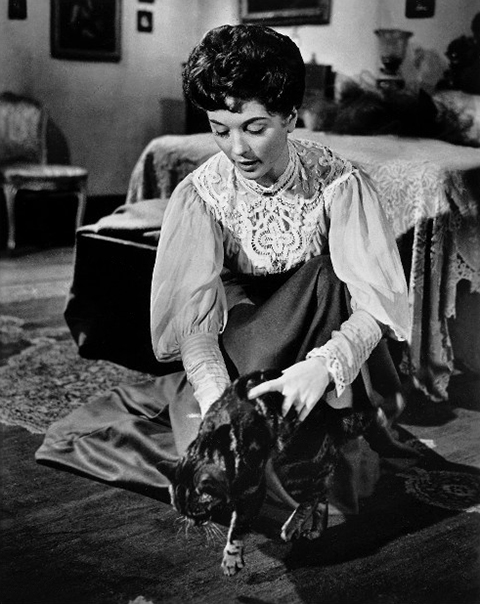 The Shadow of the Cat - promotional photo of Elizabeth Barbara Shelley playing with tabby cat Tabitha