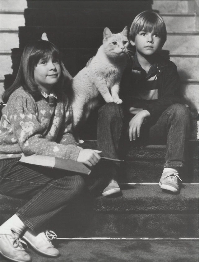 A Talking Cat Becomes a Disney Star - flame point Siamese cat Palmer Leo with Bart Brandon Call and Veronica Kellie Martin