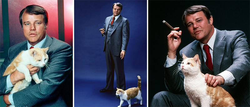 color Eischied publicity photos of Joe Don Baker and cat Waldo Kitty