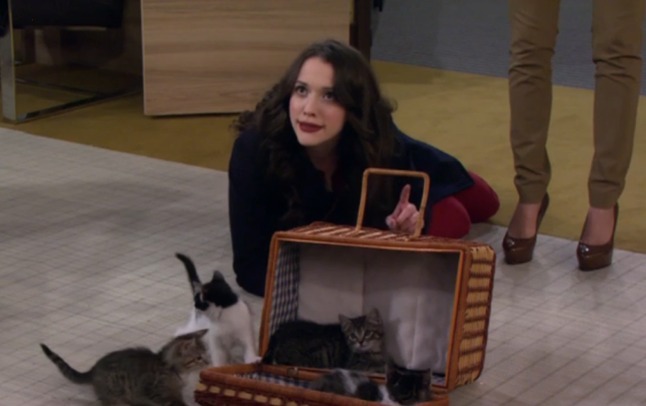 2 Broke Girls and the Fat Cat - Max and basket of kittens