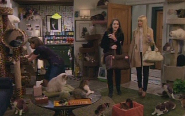 2 Broke Girls - And the Kitty Kitty Spank Spank crazy cat lady