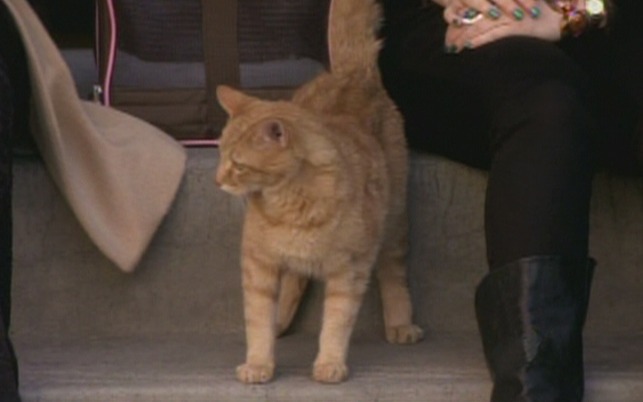 2 Broke Girls - And the Kitty Kitty Spank Spank Kitty on sidewalk