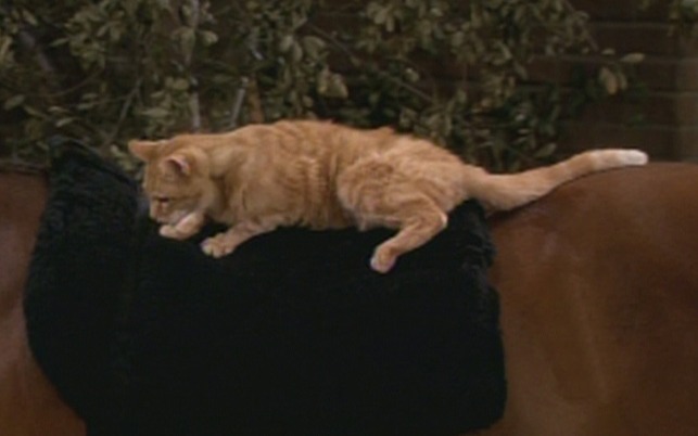 2 Broke Girls - And the Kitty Kitty Spank Spank cat Nancy with Chestnut the horse