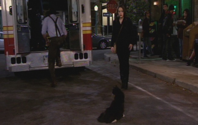 2 Broke Girls and the Three Boys with Wood - Max runs into black and white Maine Coon cat