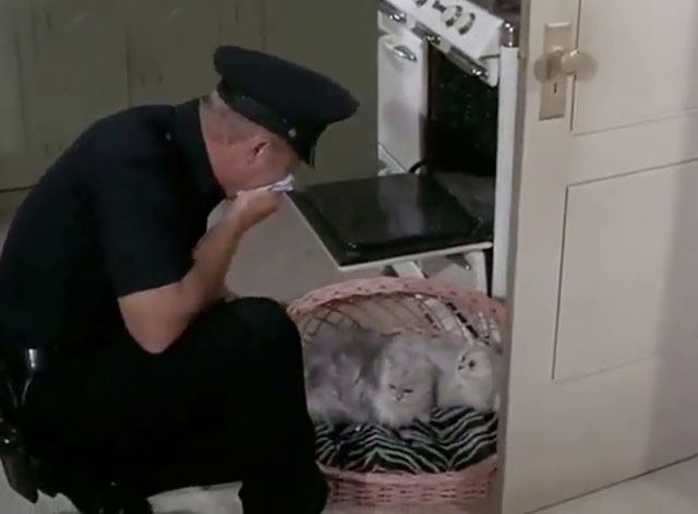 Adam-12 - Missing Child - Officer Malloy Martin Milner with two longhair Angora cats Angela and Domenic in basket on floor