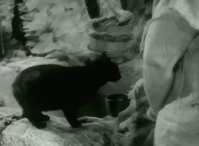 The Adventures of Robin Hood - The Alchemist - black cat on well