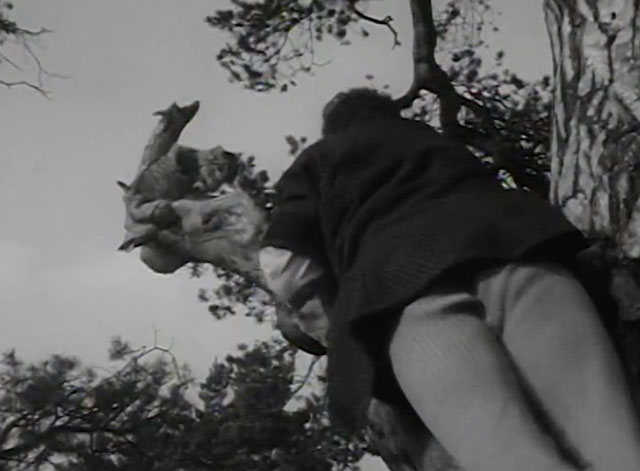 The Adventures of Robin Hood - The Final Tax - Tom Fred Goddard climbing tree to retrieve large longhair tabby cat Peterkin