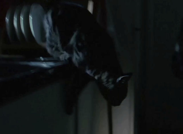 Agatha Christie’s Miss Marple - The Murder at the Vicarage - tabby cat jumping off counter in dark