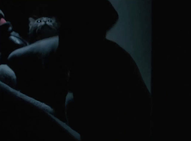 Agatha Christie’s Miss Marple - The Murder at the Vicarage - tabby cat looking up at shadow of person blocking door with coverlet