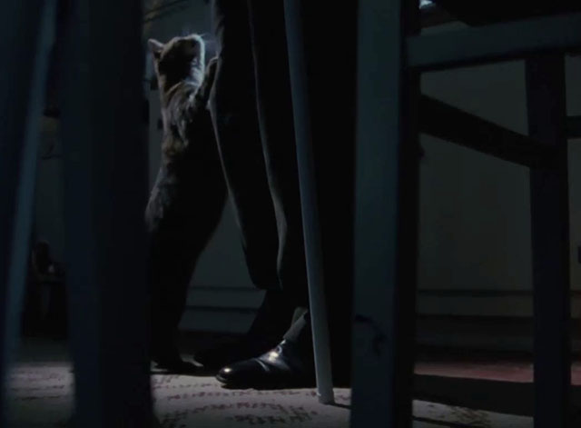 Agatha Christie’s Miss Marple - The Murder at the Vicarage - tabby cat standing against legs of person in dark kitchen