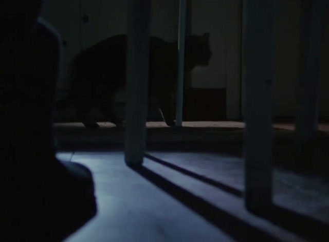 Agatha Christie’s Miss Marple - The Murder at the Vicarage - tabby cat rubbing on legs of table in dark kitchen