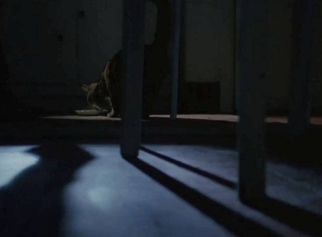 Agatha Christie’s Miss Marple - The Murder at the Vicarage - tabby cat drinking from saucer of milk in dark kitchen