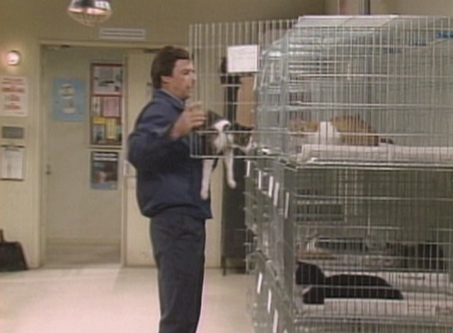 Alf - Looking for Lucky man puts cat in cage