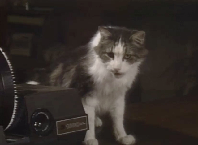 ALF - On the Road Again - cat Lucky next to slide projector on table