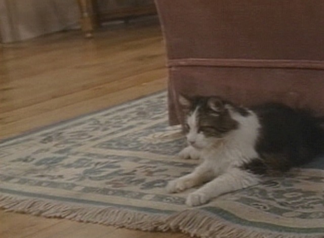 Alf - Pilot episode Lucky cat sitting on floor behind chair