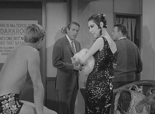 The Alfred Hitchcock Hour - Beast in View - model Robin Rath Peggy Moffitt holding longhair white cat Snow with Tommy Anthony McBride, Paul Kevin McCarthy and Jack George Furth