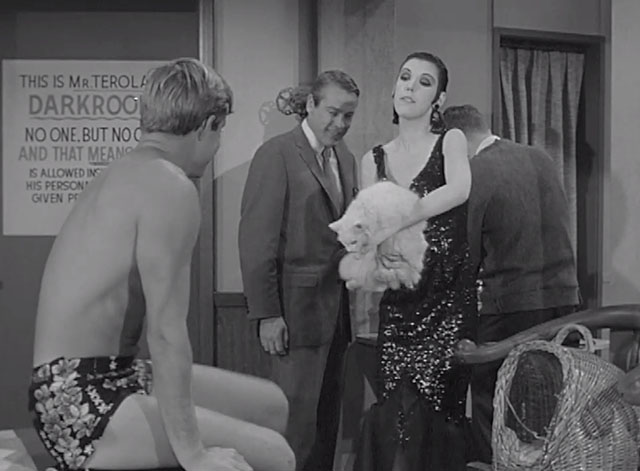 The Alfred Hitchcock Hour - Beast in View - model Robin Rath Peggy Moffitt holding longhair white cat Snow with Tommy Anthony McBride and Paul Kevin McCarthy