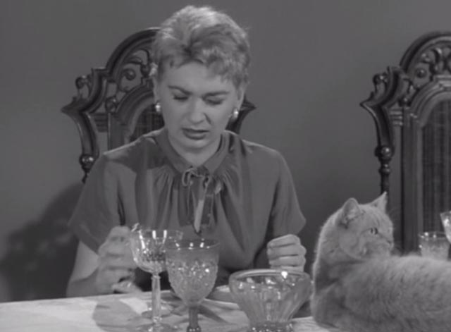 Alfred Hitchcock Presents - There Was an Old Woman - orangy tabby cat Tippie on table with Lorna Norma Crane