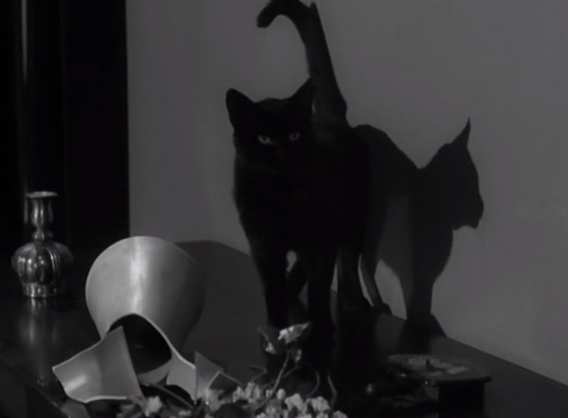 Alfred Hitchcock Presents - Fog Closing In - black cat standing on table