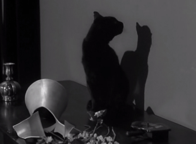 Alfred Hitchcock Presents - Fog Closing In - black cat sitting on table