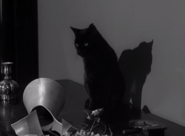 Alfred Hitchcock Presents - Fog Closing In - black cat sitting on table