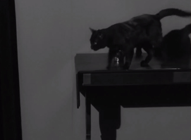 Alfred Hitchcock Presents - Fog Closing In - black cat jumping off table