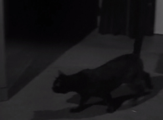 Alfred Hitchcock Presents - Fog Closing In - black cat heading to open door