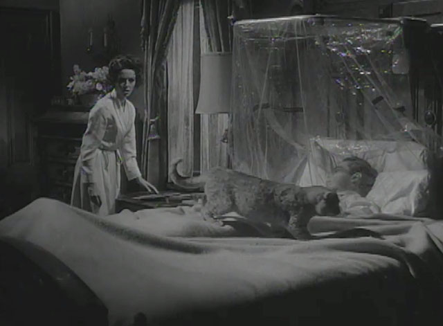 Alfred Hitchcock Hour - An Unlocked Window - ginger tabby cat Gus on bed with Stella Dana Wynter and Glendon John Kerr