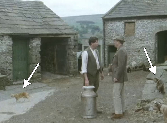 All Creatures Great and Small - Christmas Special 1985 - ginger tabby and longhair tortoiseshell cats in farm yard with men