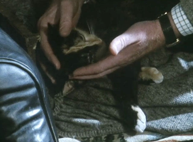 One Step Beyond - deceased tortoiseshell cat being held