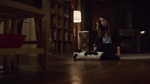 American Gods - Git Gone - long-haired tuxedo cat Dummy dead with Laura Emily Browning