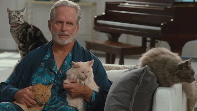 American Housewife - Highs and Lows - Dan Gregory Harrison sitting with ginger tabby cat Mittens, long haired cream cat, brown tabby and long haired gray cat