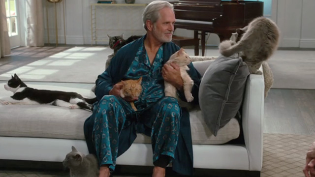 American Housewife - Highs and Lows - Dan Gregory Harrison sitting with ginger tabby cat Mittens, long haired cream cat, brown tabby, long haired gray cat, short haired gray cat and tuxedo cat