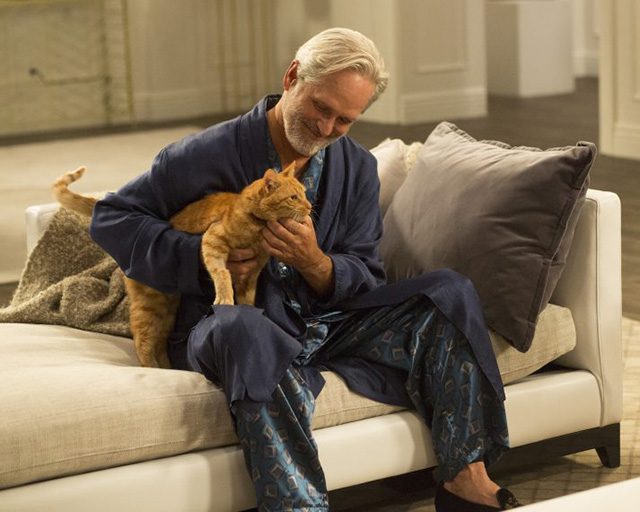 American Housewife - Highs and Lows - Dan Gregory Harrison sitting with ginger tabby cat Mittens