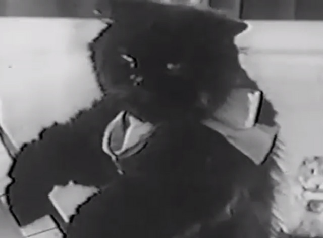 Andy's Gang - long-haired black cat Midnight playing organ with Squeeky the mouse hamster