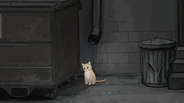 Animals - orange alley cat Alex as a kitten abandoned