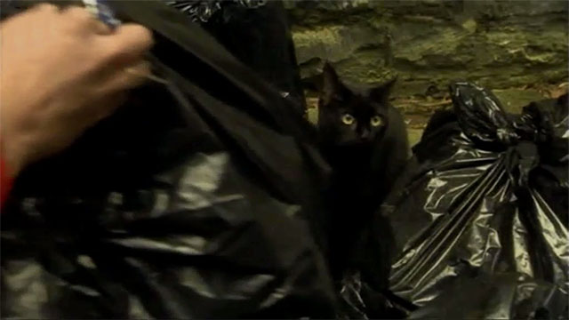 Bad Girls - Do or Die - black cat Tinker behind garbage bags