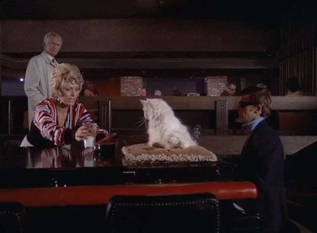 Barnaby Jones - See Some Evil, Do Some Evil - Gloria Beverly Powers giving milk to longhair white cat on piano played by Stanley Lambert Roddy McDowall as Buddy Ebsen approaches