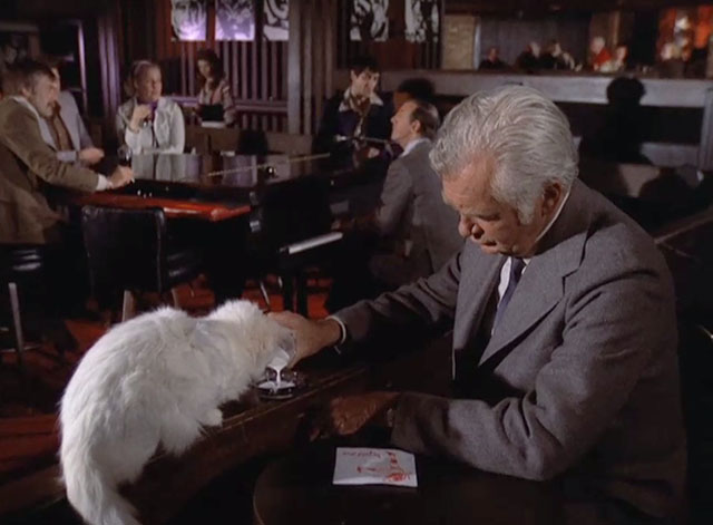 Barnaby Jones - See Some Evil, Do Some Evil - longhair white cat having milk poured by Buddy Ebsen