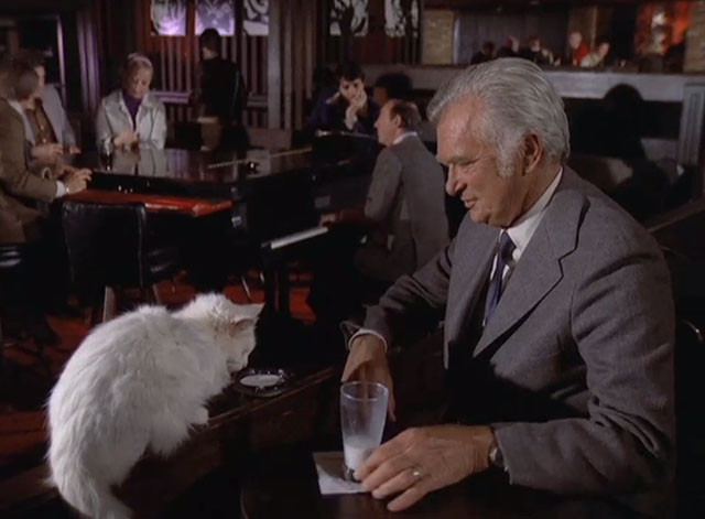 Barnaby Jones - See Some Evil, Do Some Evil - longhair white cat with Buddy Ebsen in bar