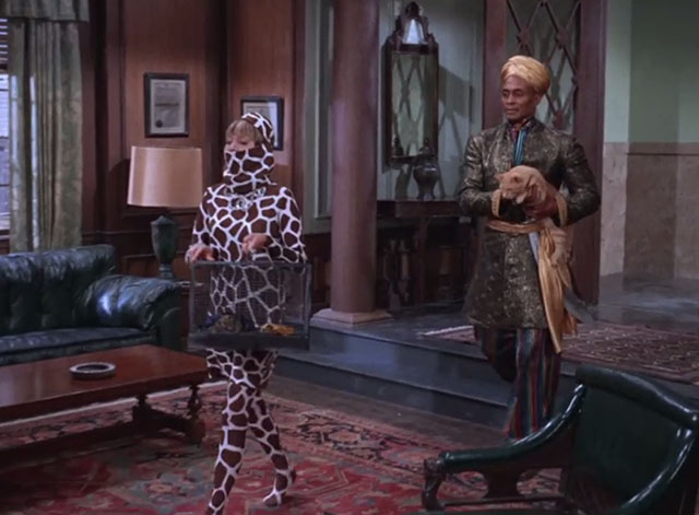 Batman - Marsha's Scheme of Diamonds - Carolyn Jones and Grand Mogul Woody Strode carrying ginger tabby cat Circe into office