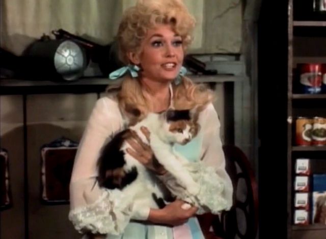 The Beverly Hillbillies - Buzz Bodine, Boy General - Elly May Clampett Donna Douglas holding calico cat Marmalade in Sam Drucker's store