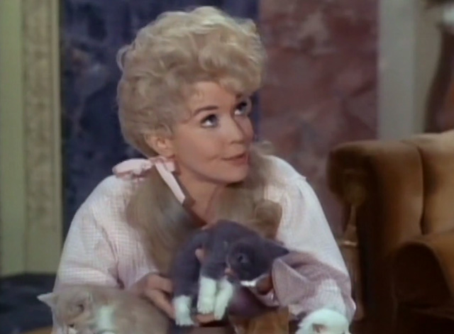 The Beverly Hillbillies - Jed Buys the Capitol - Elly May Donna Douglas holding gray and white kitten